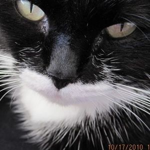 Meet your Posher, June